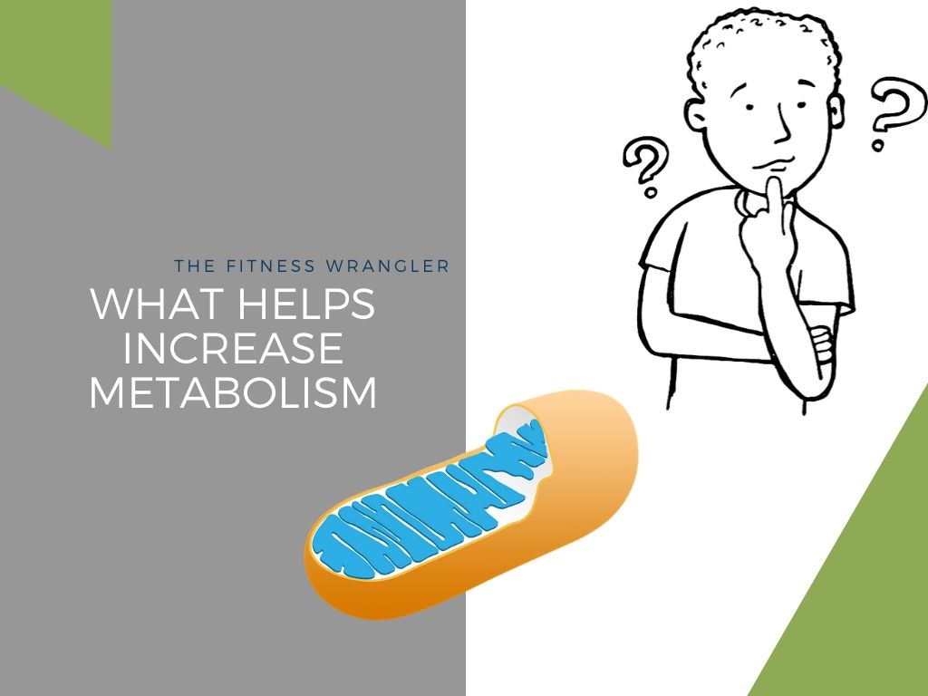 What Helps Increase Metabolism