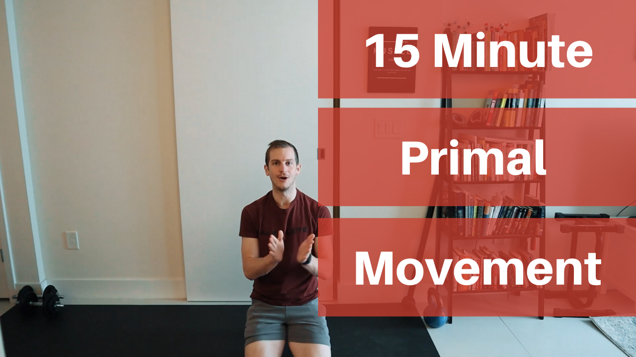 15 Minute Primal Movement Workout (Bodyweight Animal Exercises)
